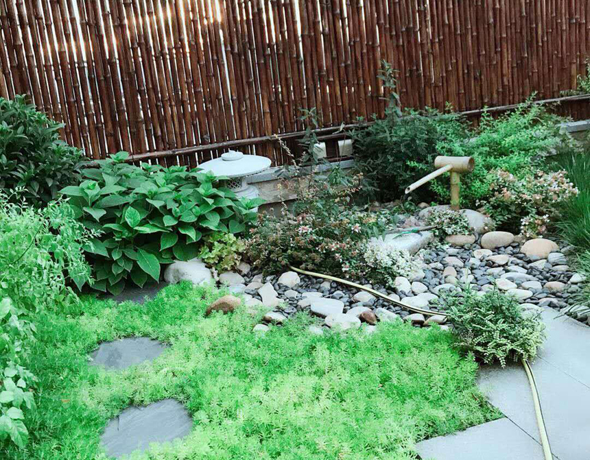 1561949983331097.jpg