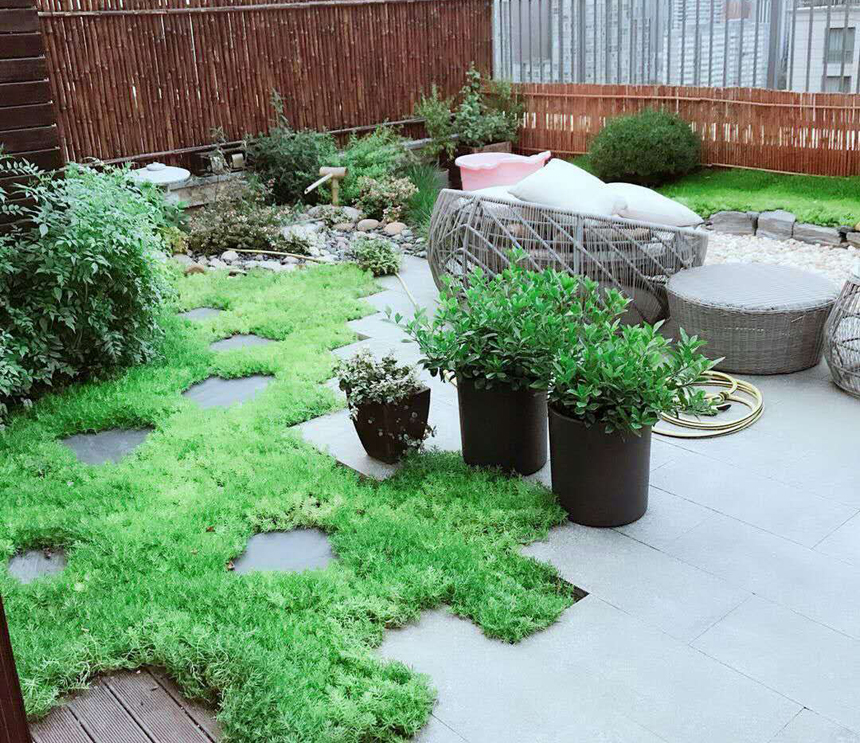 1561949983326164.jpg